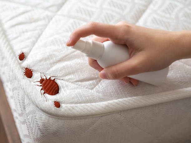 Pest Control for Hotels in Leisure Village West, NJ